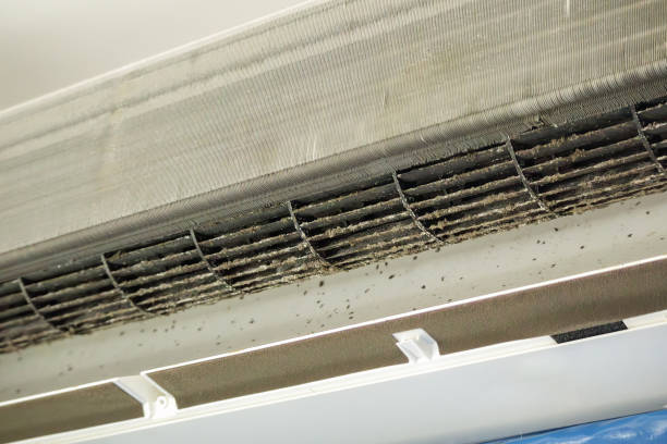 Best General Air Duct Cleaning  in Sammamish, WA